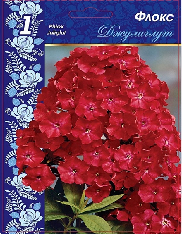 Флокс Джулиглут